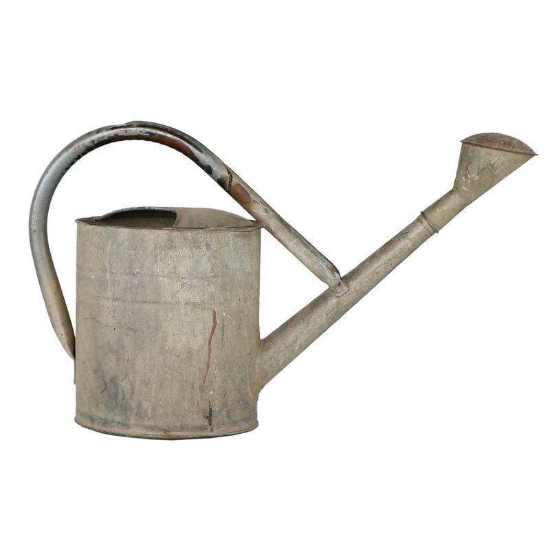 The Plant Shoppe European Watering Can