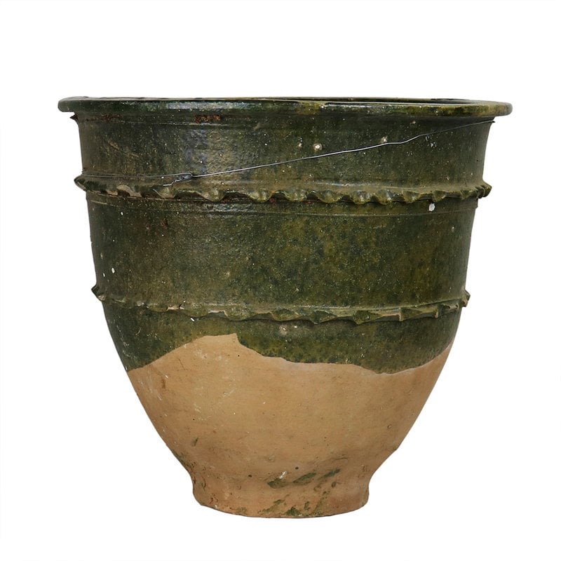 The Plant Shoppe Open Mouth Mediterranean Pot, Green large