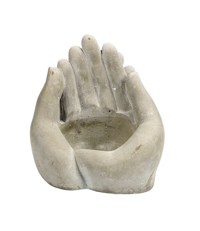 The Plant Shoppe Palms Planter