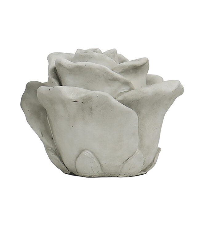 The Plant Shoppe Cast Concrete Rose Large