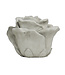 The Plant Shoppe Cast Concrete Rose Large