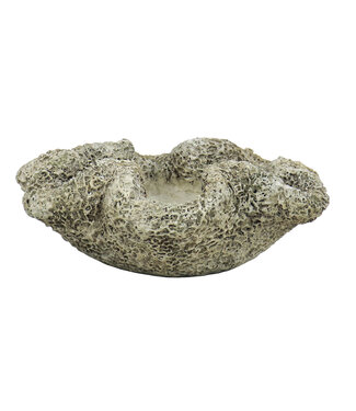 The Plant Shoppe Coral Cast Concrete Planter -  Wrinkle