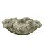 The Plant Shoppe Coral Cast Concrete Planter -  Wrinkle