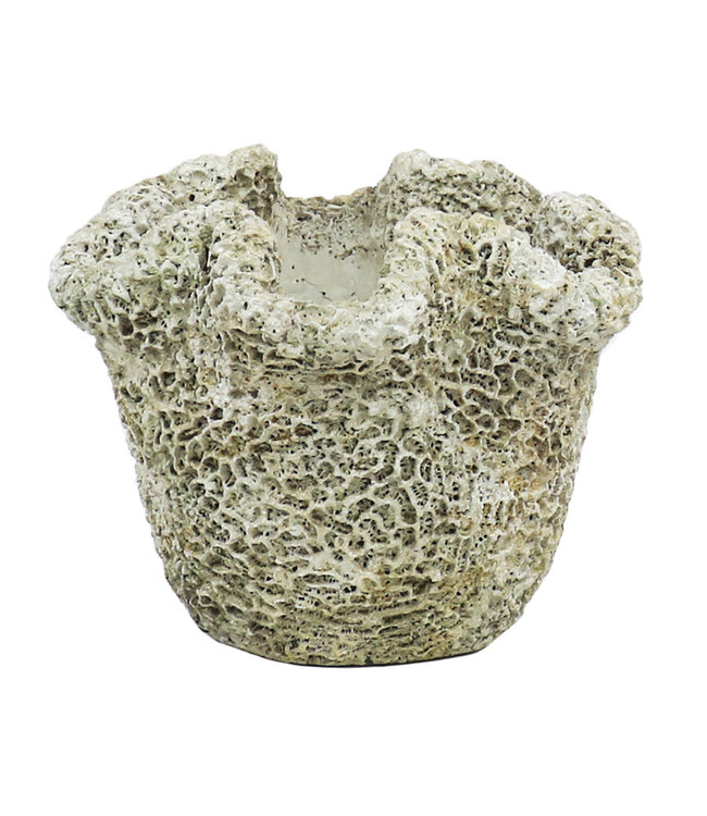 The Plant Shoppe Coral Planter Tall, Cast Concrete