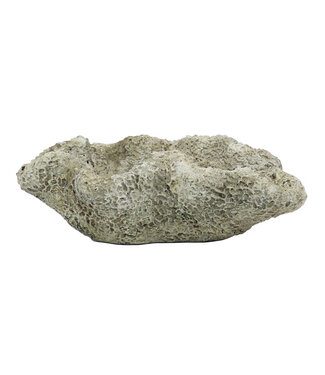 The Plant Shoppe Coral Cast Concrete Planter - Natural