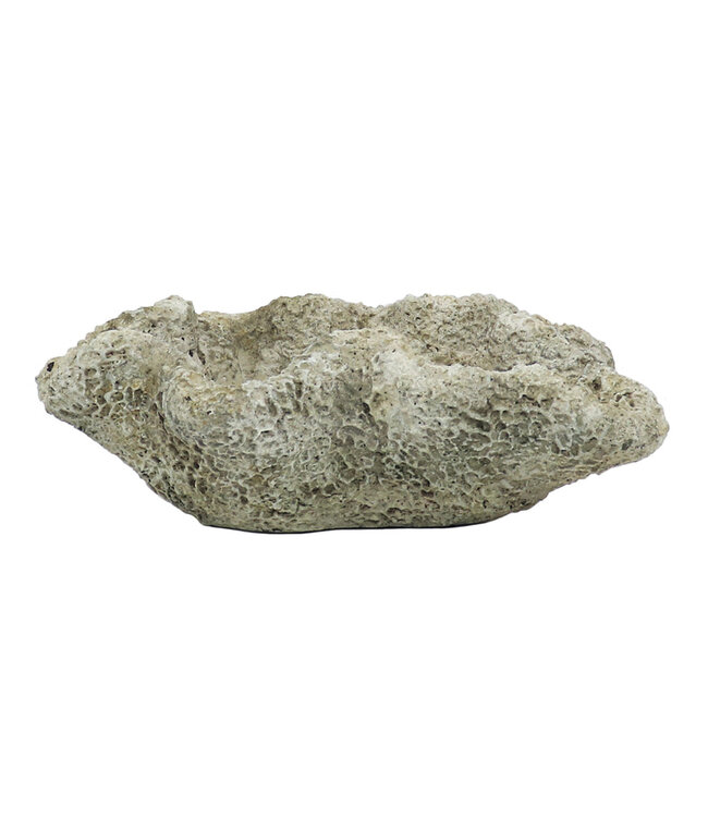 The Plant Shoppe Coral Cast Concrete Planter - Natural