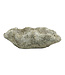 The Plant Shoppe Coral Cast Concrete Planter - Natural