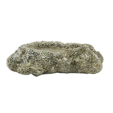 The Plant Shoppe Coral Cast Concrete Planter - Long