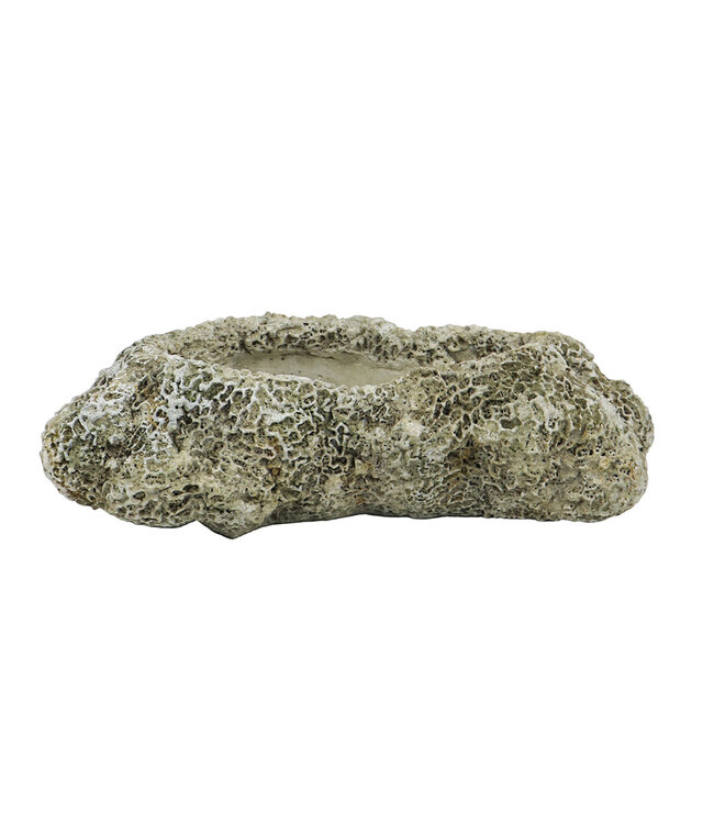 The Plant Shoppe Coral Cast Concrete Planter - Long