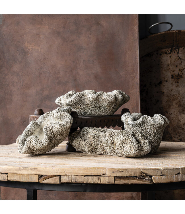 The Plant Shoppe Coral Cast Concrete Planter - Long