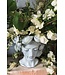 The Plant Shoppe Lady Lemon Vase 9.25"x8"x9"