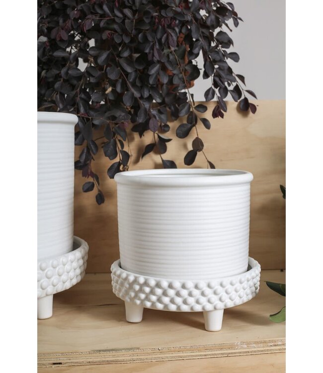 The Plant Shoppe Jane Footed Pot 8"x7.75" White