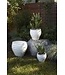 The Plant Shoppe Porto Planter 16.25"x14.75"