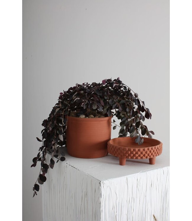 The Plant Shoppe Jane Footed Pot 8"x7.75" Terra