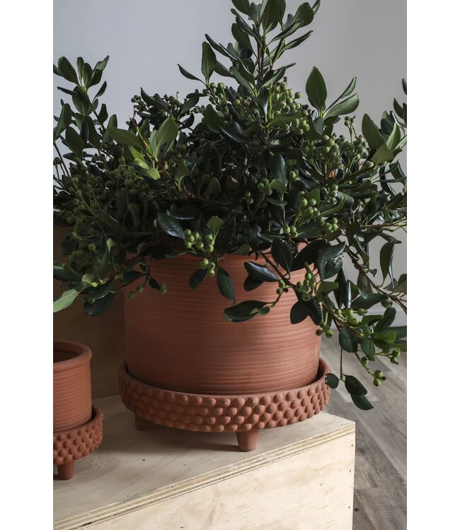 The Plant Shoppe Jane Footed Pot 12.5"x11" Terra