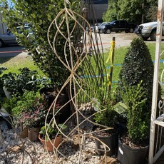 The Plant Shoppe Large Swirl Topiary