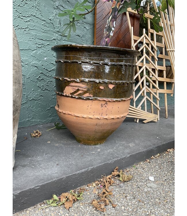 The Plant Shoppe Open Mouth Mediterranean Pot, Green large