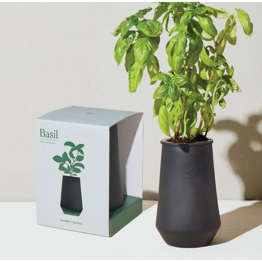 Modern Sprout Tapered Tumbler - Basil