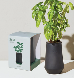 Modern Sprout Tapered Tumbler - Basil