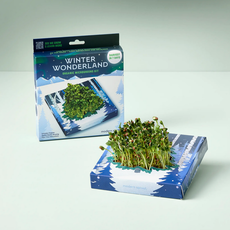 Modern Sprout Microgreens - Winter Wonderland