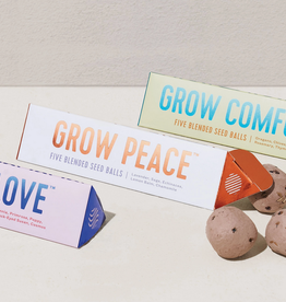 Modern Sprout Bright Side Seed Balls | Grow Comfort