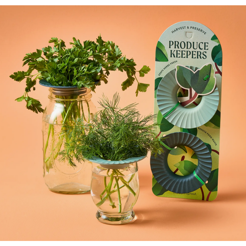 Modern Sprout Produce Keepers - Set of 2