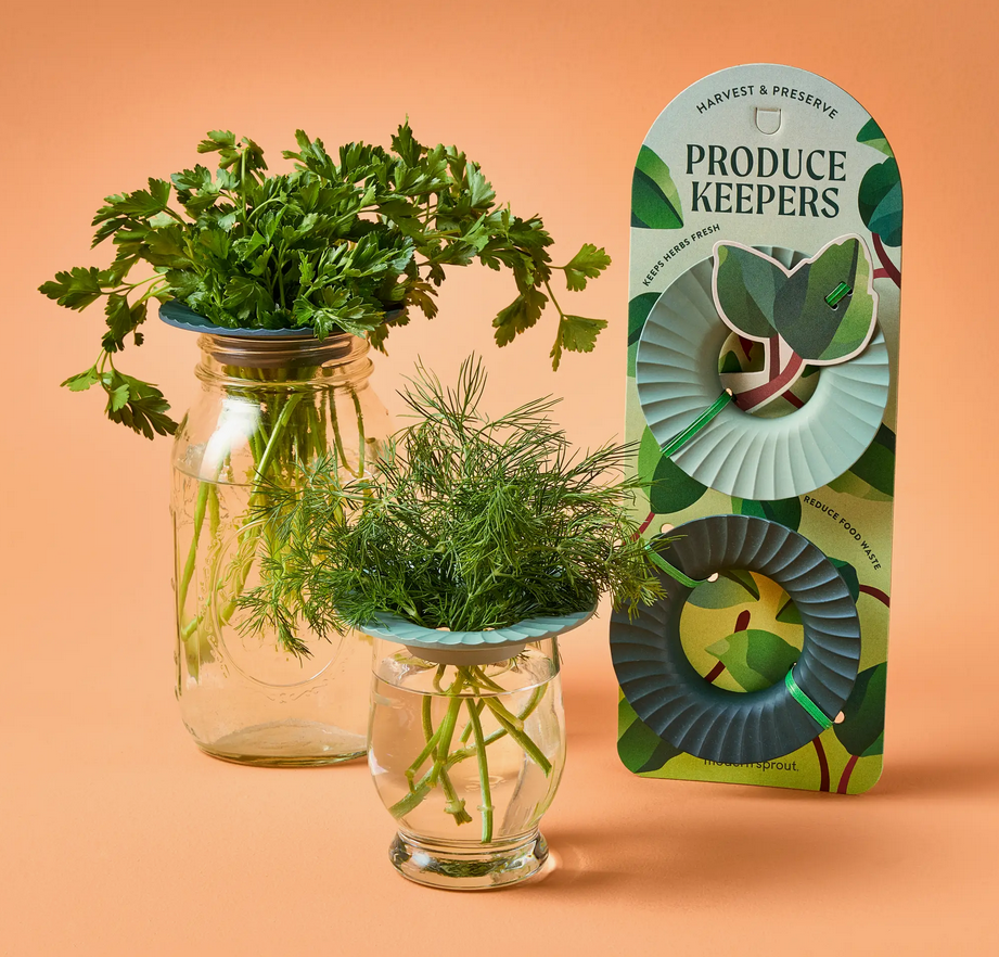 Modern Sprout Produce Keepers - Set of 2