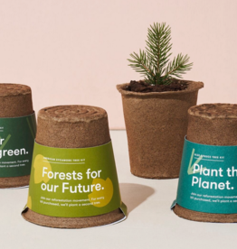 Modern Sprout One-For-One Tree Kit - Loblolly Pine