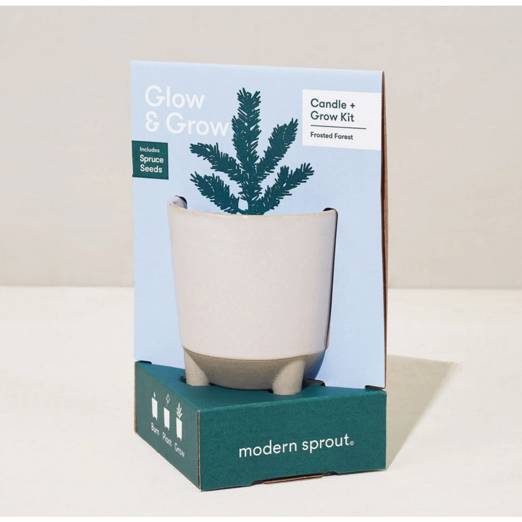 Modern Sprout Glow & Grow Candle - Frosted Forest Spruce