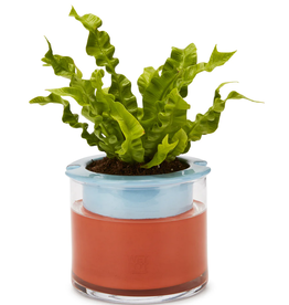 MoMa Small Colorful Self-Watering WetPot 5.2"H x 6"D