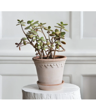 Berg Kobenhavner RAW Rosa set 35cm (10.8" H)