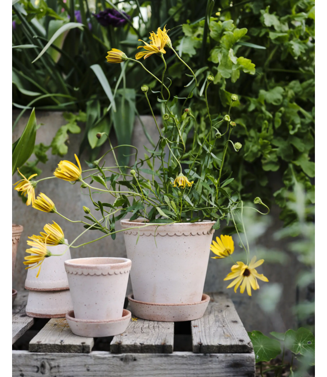 Helena RAW Rosa, Set 8.5cm