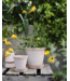 Berg Helena RAW Rosa Set 8.5cm (3"H)