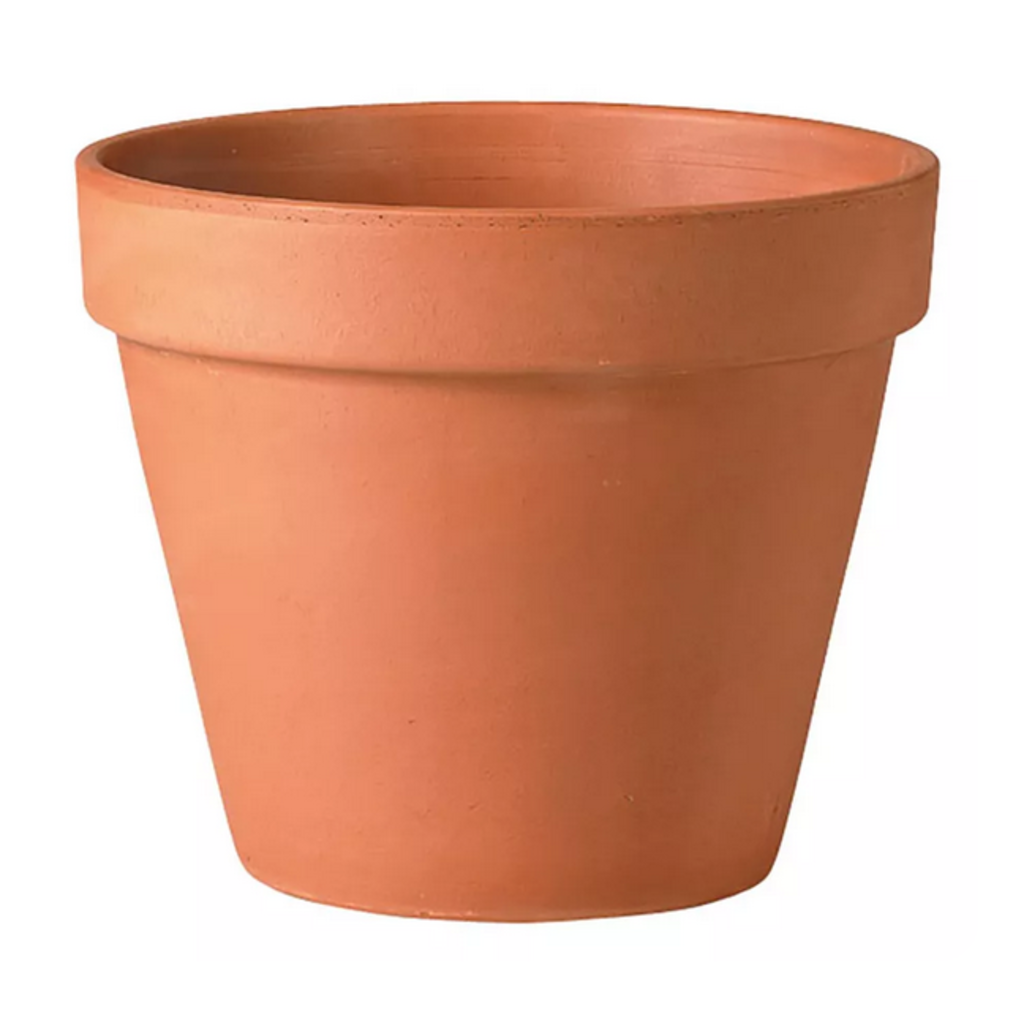 Deroma Standard Pot 5.9" Terracotta