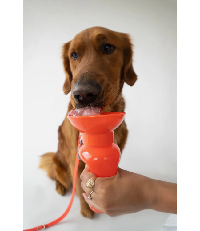 Springer Classic Dog Water Travel Bottle 22oz