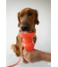 Springer Classic Dog Water Travel Bottle 22oz
