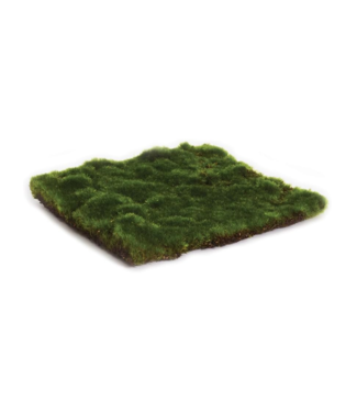 Moss Sheet Square 16"