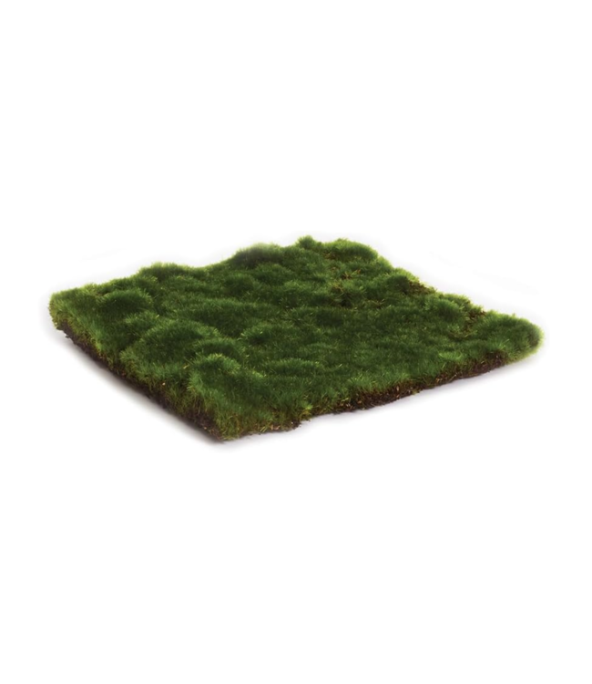 Moss Sheet Square 16"