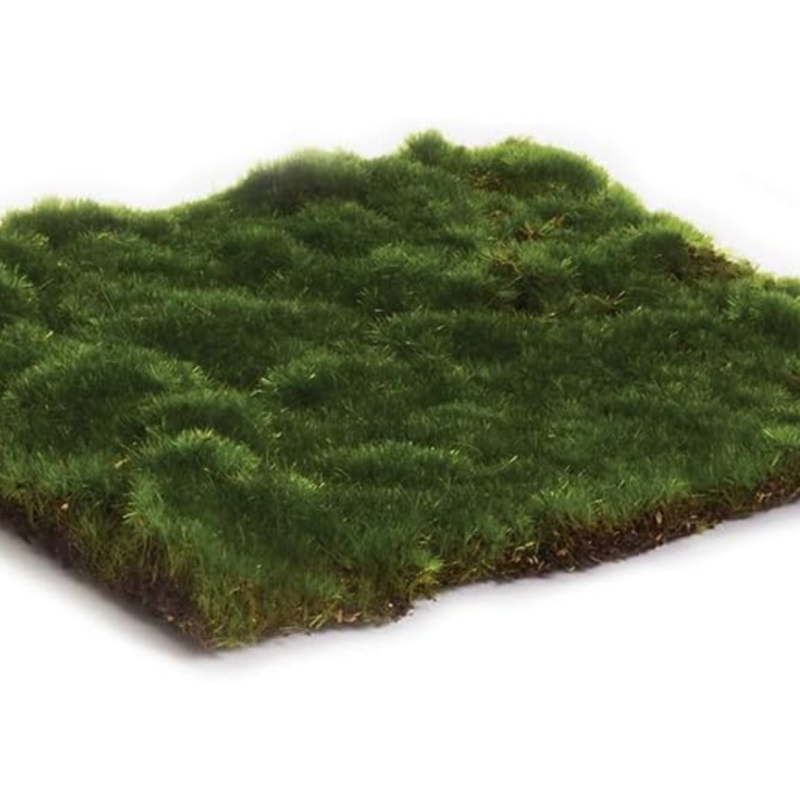 Moss Sheet Square 16"