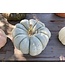 26 Pumpkin Large