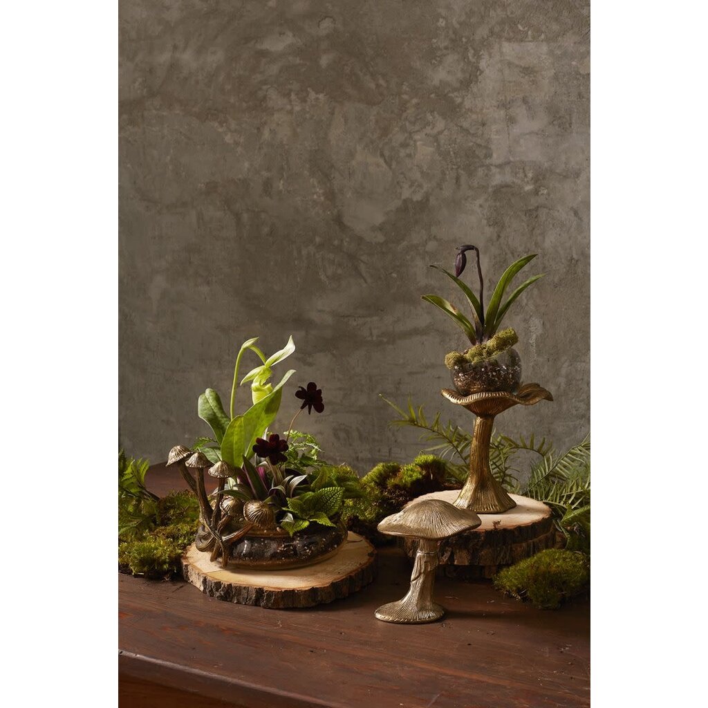 The Plant Shoppe Lichen Planter 6.5"x 5.25"x 7"