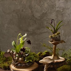 The Plant Shoppe Lichen Planter 6.5"x 5.25"x 7"
