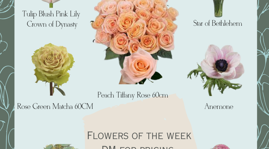 Cut Flowers of the week