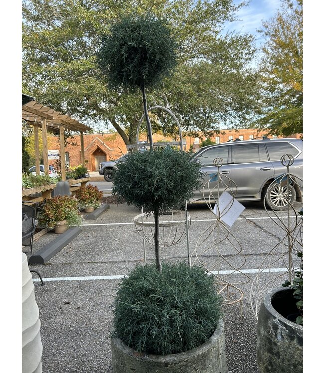 Carolina Sapphire 3 Ball  15G Single