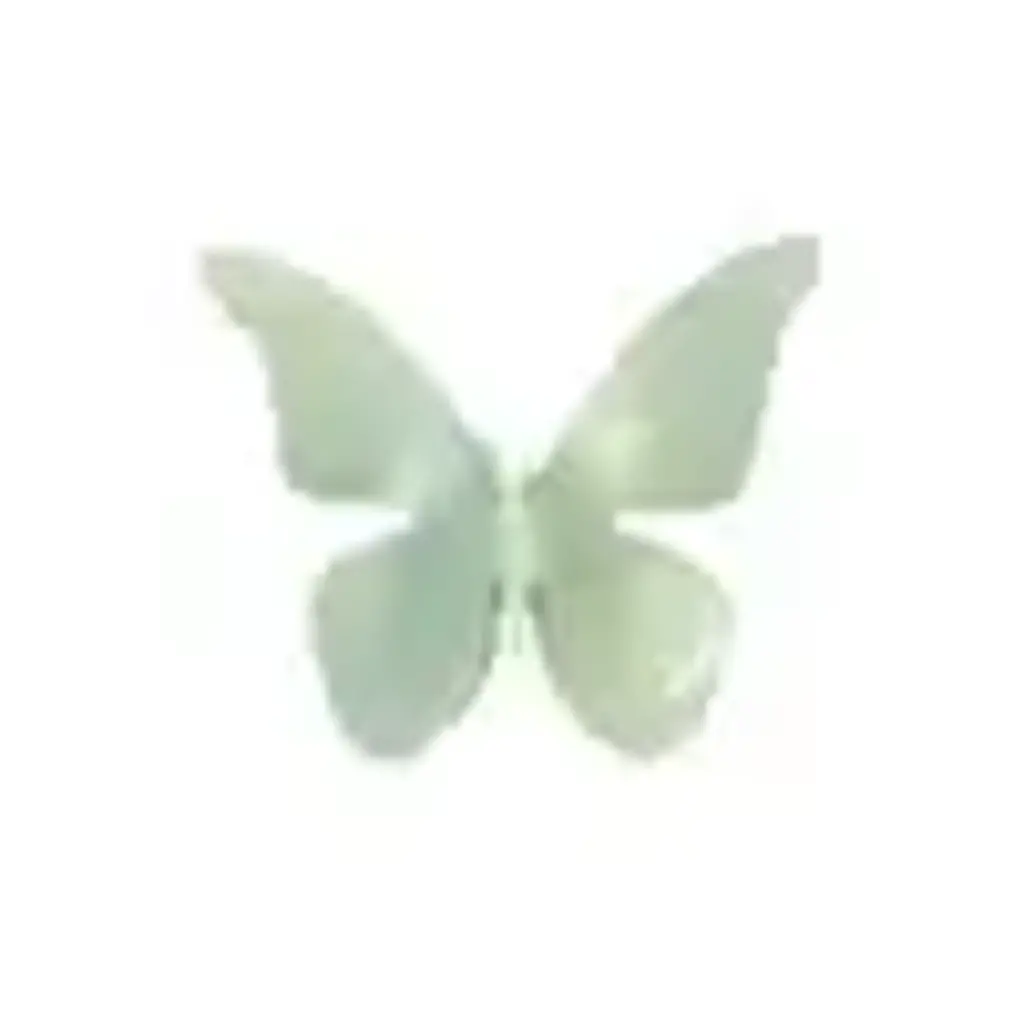 Fig & Dove Acrylic Butterfly Small/Green *Limited Edition