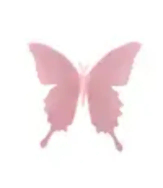 Fig & Dove Acrylic Butterfly Medium/Pink