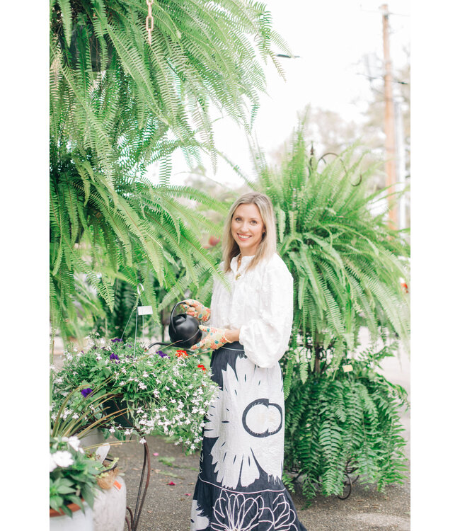 Fern Boston Nevada 10" Hanging Basket