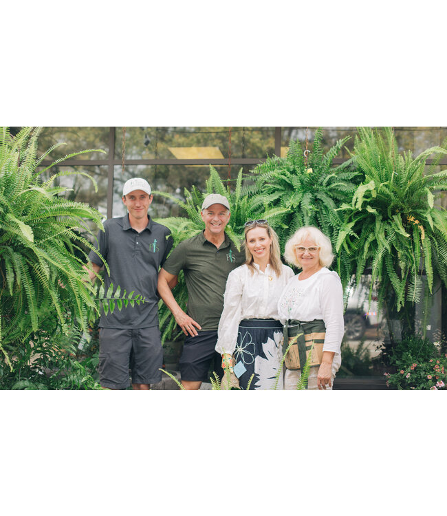 The Plant Shoppe Fern Sword / Kimberly 10" Hanging Basket