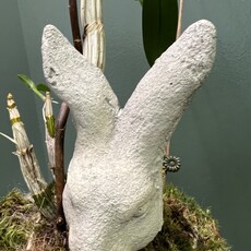 Concrete Garden Bunny head on metal stick