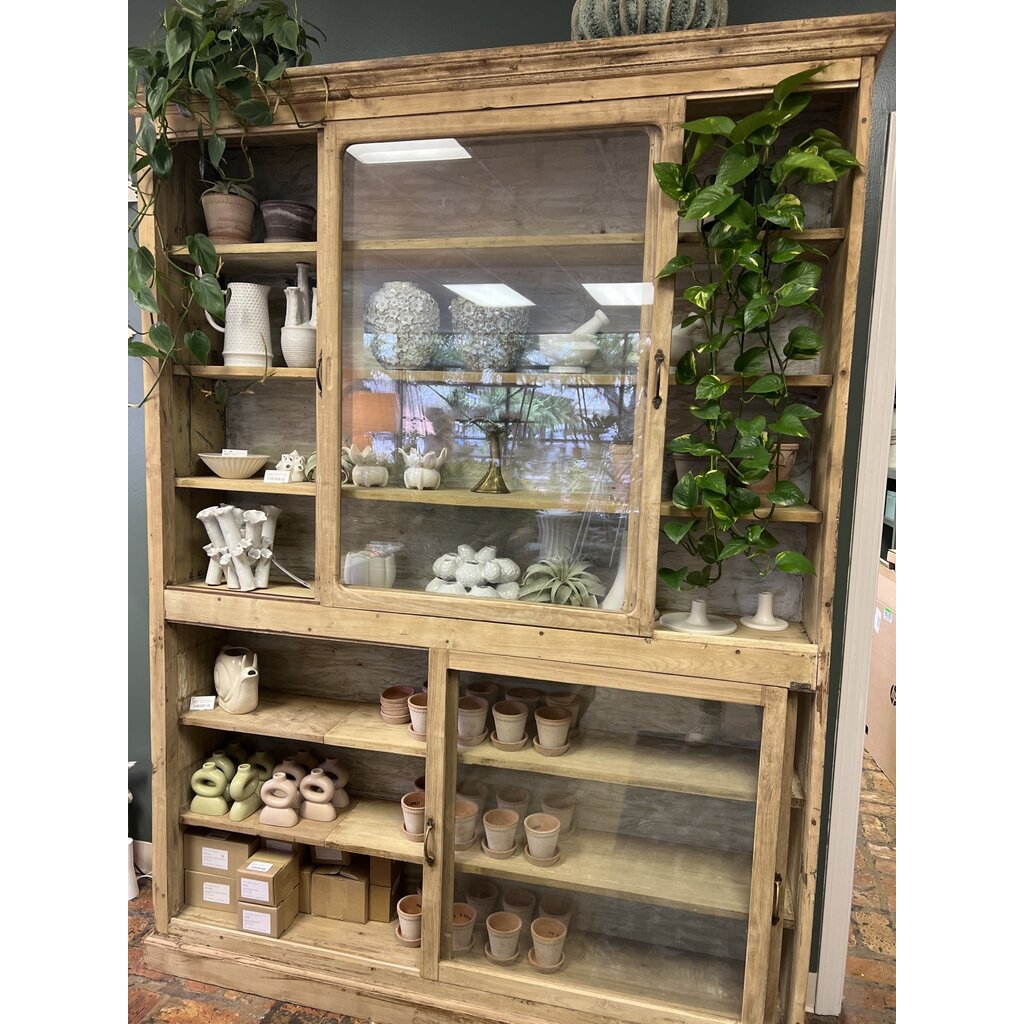 Cabinet - Display natural wood Double Tall Glass Cabinet